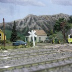 CIMG2917.JPG