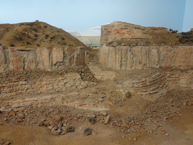 DSC01613.JPG