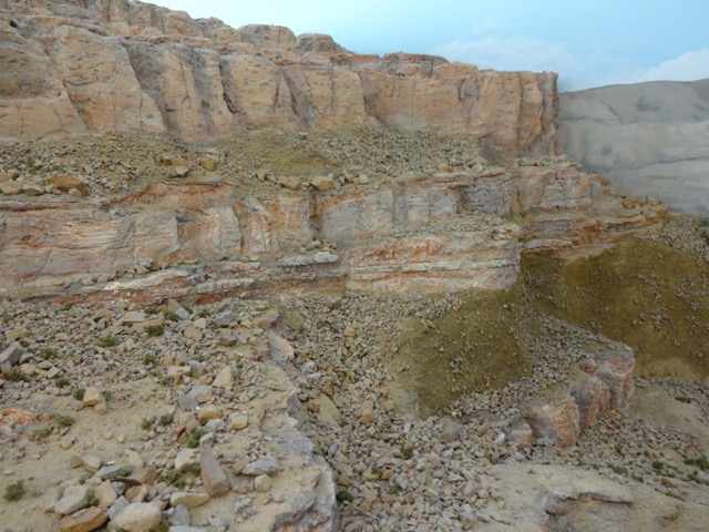 DSC01619.JPG