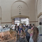 IMG_3489