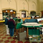 CIMG2901.JPG